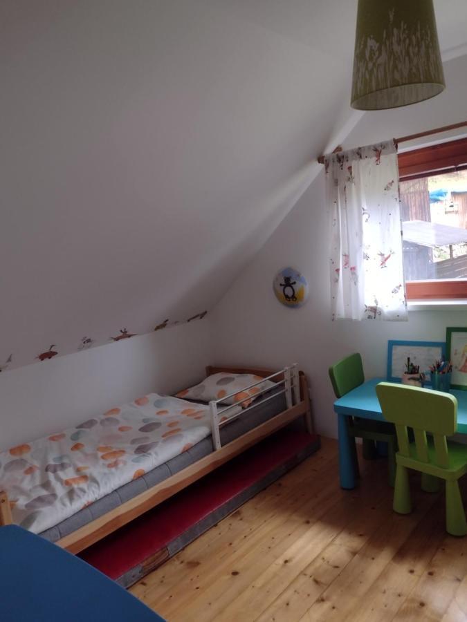Chata Dvirka Zelezny Brod Zewnętrze zdjęcie