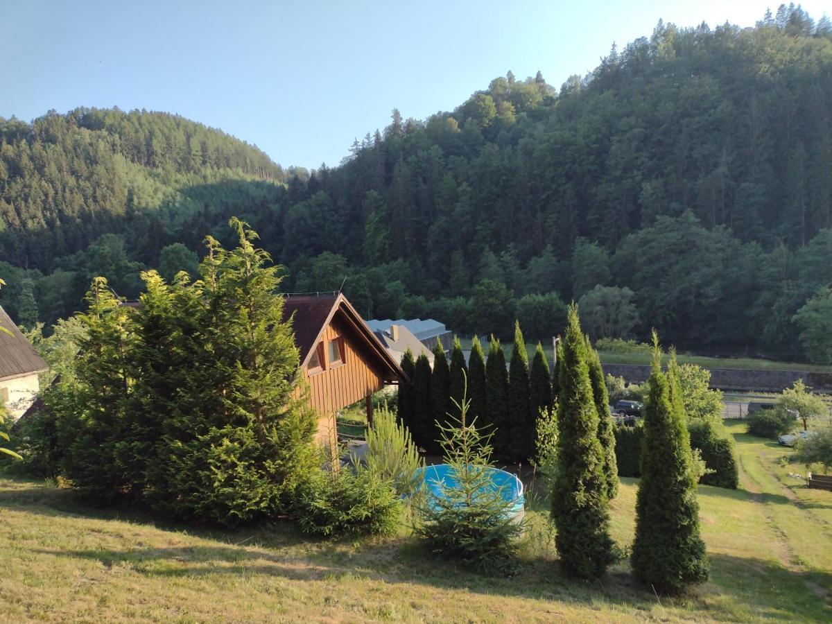 Chata Dvirka Zelezny Brod Zewnętrze zdjęcie